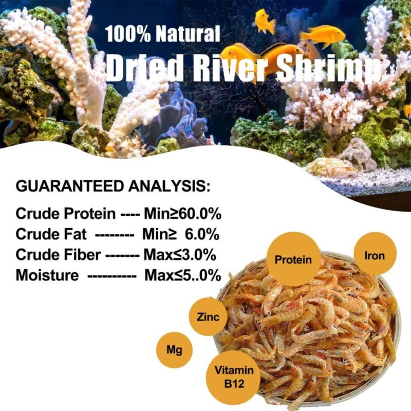Picture Idea: Buy Amzey 4 Pack Dried River Shrimp Freeze Dried Red