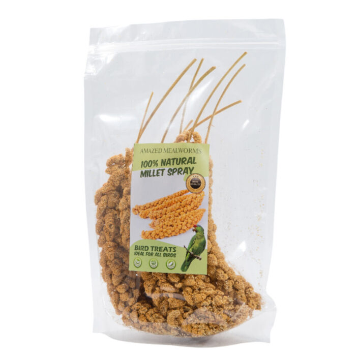Amazed Mealworms Millet Spray for Birds - 100% Natural Sun-Dried Millet Grain for Birds for Parakeet, Budgies, Finches, Cockatiels, Parrots, Lovebird, Hamster, Non-GMO Bird Treat