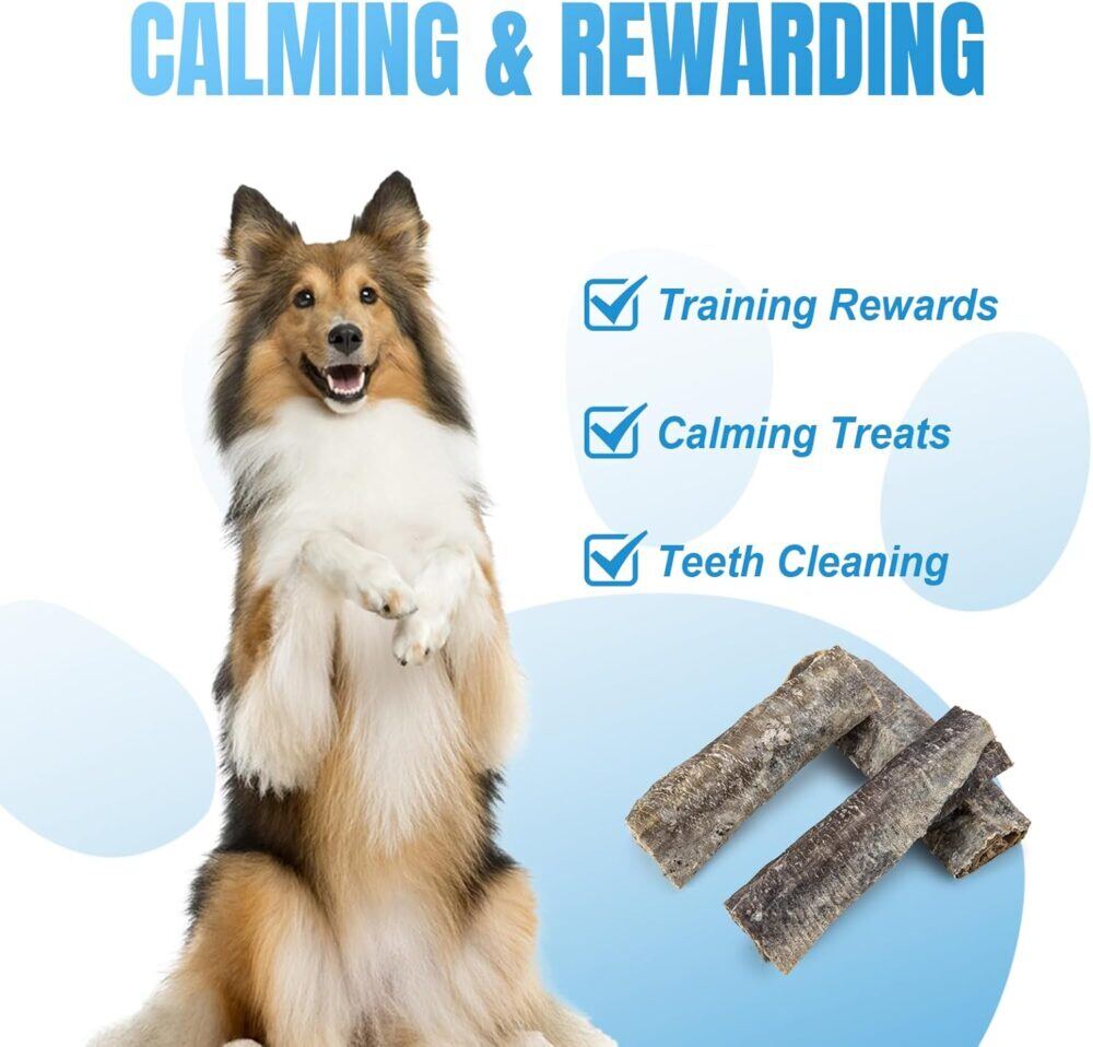 Amzey Cod Skin Dog Treats 24 OZ, High Protein Fish Skin Rolls Rich in Omega-3, 100% Natural Dried Fish Dog Chews for Teeth Cleaning, Pack of 4 Resealable Bags - Image 4