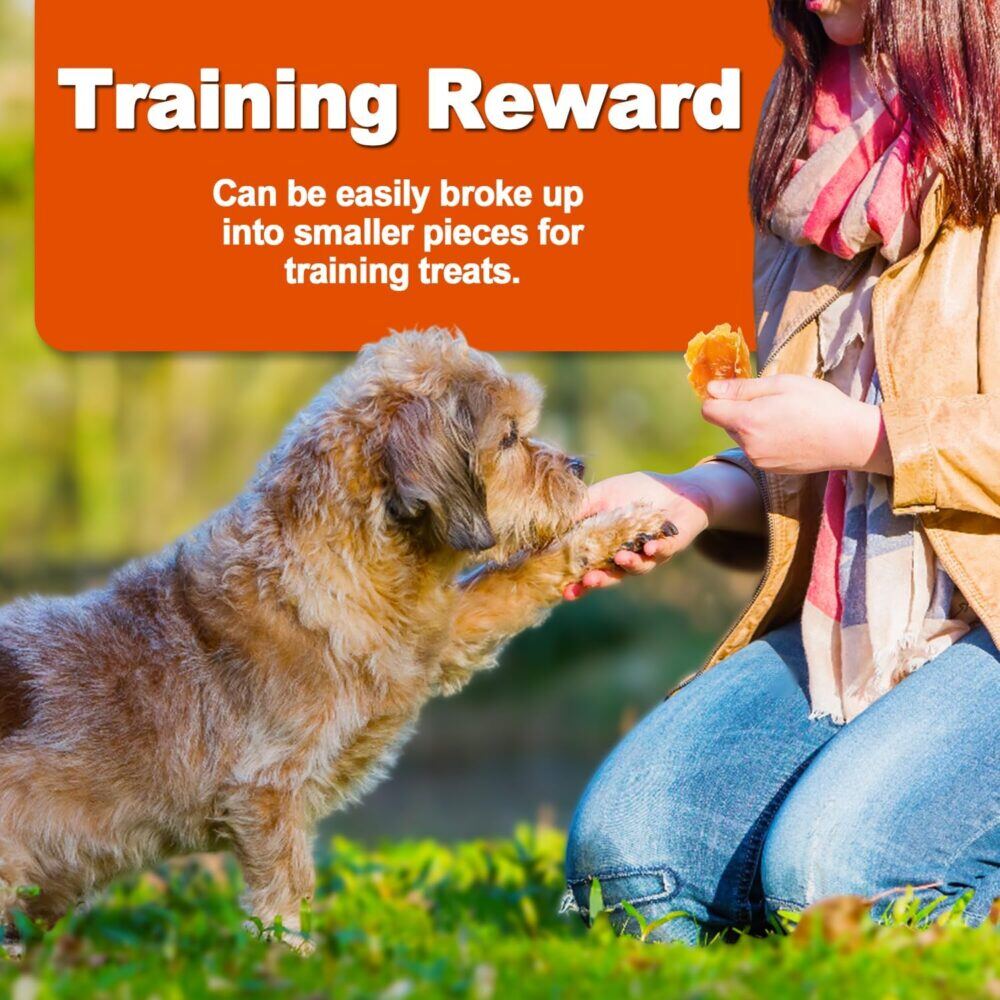 Amzey Chicken Jerky Dog Treats 24 OZ, 4 Resealable Bags, Real Chicken, Grain Free High Protein, Dental Health Support Dog Snacks, for Large & Small Dogs, Canine Chews - Image 4