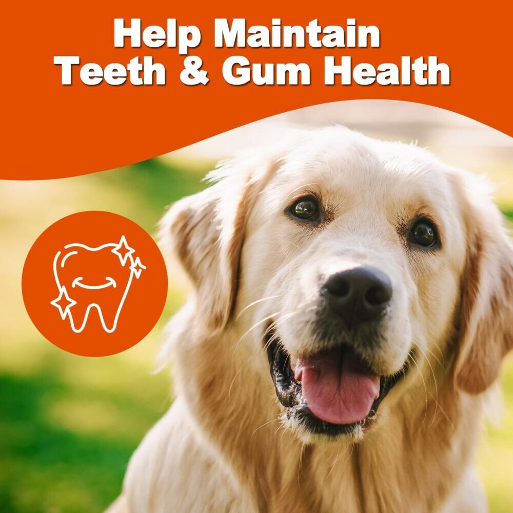 Amzey Chicken Jerky Dog Treats 24 OZ, 4 Resealable Bags, Real Chicken, Grain Free High Protein, Dental Health Support Dog Snacks, for Large & Small Dogs, Canine Chews - Image 5