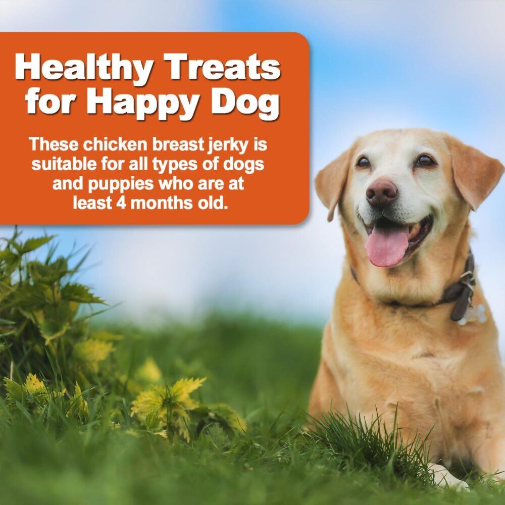 Amzey Chicken Jerky Dog Treats 24 OZ, 4 Resealable Bags, Real Chicken, Grain Free High Protein, Dental Health Support Dog Snacks, for Large & Small Dogs, Canine Chews - Image 7